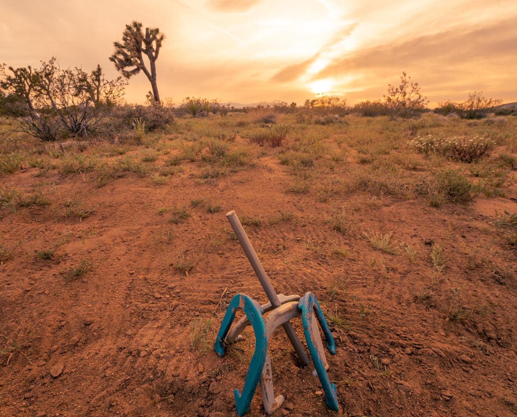 Coyote Tracks - A Modern Desert Experience Villa Joshua Tree Esterno foto